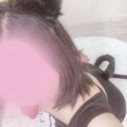 ヒメ日記 2026/03/01 17:42 投稿 吉田なぎさ 渋谷ミルク