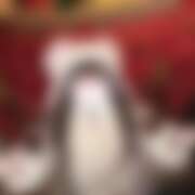 ヒメ日記 2026/03/19 22:35 投稿 いずみ 新宿ハンドメイド