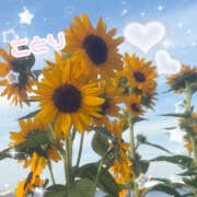 ヒメ日記 2026/07/14 13:37 投稿 ことり ときめき女学院