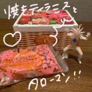 ヒメ日記 2026/03/09 00:57 投稿 まりな ぷるるん小町日本橋店