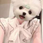 ヒメ日記 2026/04/02 18:34 投稿 響（ひびき） ROYAL FACE FUKUOKA