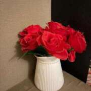 ヒメ日記 2026/02/22 23:05 投稿 まなか◇透明感ある美形美女◇ H-ash（アッシュ）