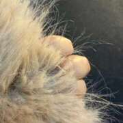 ヒメ日記 2026/03/17 18:19 投稿 まなか◇透明感ある美形美女◇ H-ash（アッシュ）