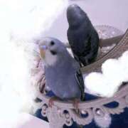 ヒメ日記 2026/03/17 19:01 投稿 柊ゆい★完全未経験な18歳美少女 PLAY