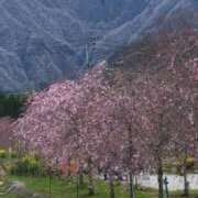 ヒメ日記 2026/02/18 09:20 投稿 彩心【いろは】 La Rouge(中津)