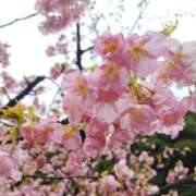 ヒメ日記 2026/02/20 13:10 投稿 彩心【いろは】 La Rouge(中津)