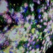 ヒメ日記 2026/02/26 09:48 投稿 彩心【いろは】 La Rouge(中津)