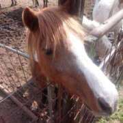 ヒメ日記 2026/03/01 18:10 投稿 彩心【いろは】 La Rouge(中津)