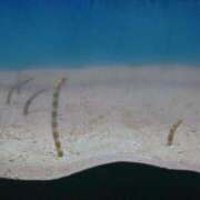 ヒメ日記 2026/03/02 18:46 投稿 彩心【いろは】 La Rouge(中津)