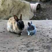 ヒメ日記 2026/03/13 09:00 投稿 彩心【いろは】 La Rouge(中津)