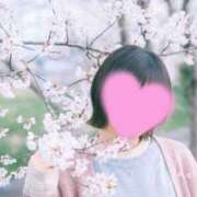 ヒメ日記 2026/04/13 15:16 投稿 高野 奈々美 こあくまな熟女たち 静岡店（KOAKUMAグループ）