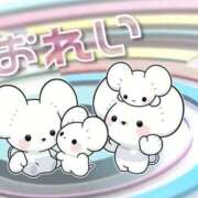 ヒメ日記 2026/02/22 11:03 投稿 リリ【本入店】 川崎美女革命