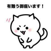 ヒメ日記 2026/02/28 04:42 投稿 春川彩音 札幌ソフィア