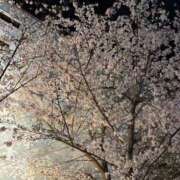 【SP】あいる 今日の出勤♡ サマンサ(和歌山)