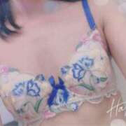 ヒメ日記 2026/03/20 07:47 投稿 高樹茉莉 プルデリR40