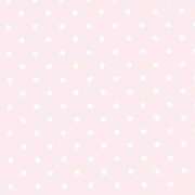 ヒメ日記 2026/04/03 16:01 投稿 あかり スピード難波店