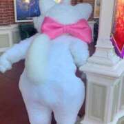 ヒメ日記 2026/03/13 14:32 投稿 百合葉/ゆりは ANEJE～アネージュ池袋～(ユメオト)