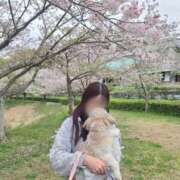 ヒメ日記 2026/04/06 22:38 投稿 くるみ☆体験入店 奥さま日記（大洲店）