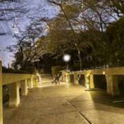 ヒメ日記 2026/02/20 17:02 投稿 つばき ハイブリッドヘルス西川口