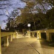 ヒメ日記 2026/02/20 17:12 投稿 つばき ハイブリッドヘルス西川口