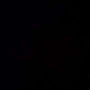 ヒメ日記 2026/02/22 13:52 投稿 つばき ハイブリッドヘルス西川口