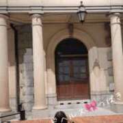 ヒメ日記 2026/03/28 10:20 投稿 つばき ハイブリッドヘルス西川口