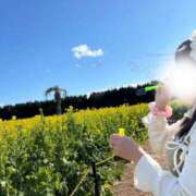 ヒメ日記 2026/02/18 15:36 投稿 倉田 さくら こあくまな熟女たち三河店（KOAKUMAグループ）