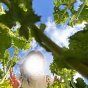 ヒメ日記 2026/02/21 21:19 投稿 倉田 さくら こあくまな熟女たち三河店（KOAKUMAグループ）