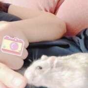 ヒメ日記 2026/04/08 21:07 投稿 倉田 さくら こあくまな熟女たち三河店（KOAKUMAグループ）