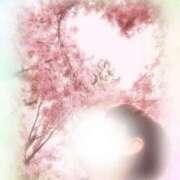 ヒメ日記 2026/04/13 15:04 投稿 倉田 さくら こあくまな熟女たち三河店（KOAKUMAグループ）