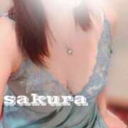 ヒメ日記 2026/04/28 19:10 投稿 倉田 さくら こあくまな熟女たち三河店（KOAKUMAグループ）