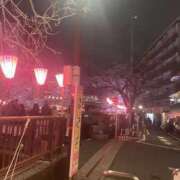 ヒメ日記 2026/03/31 09:03 投稿 まい アレグリア