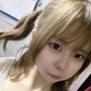 まい はーふついん！！ アレグリア