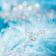 ヒメ日記 2026/04/16 23:37 投稿 猫田 めい 30代40代50代と遊ぶなら博多人妻専科24時