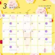 ヒメ日記 2026/02/20 07:45 投稿 観月まりあ 白夜