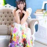 ヒメ日記 2026/04/06 14:00 投稿 観月まりあ 白夜