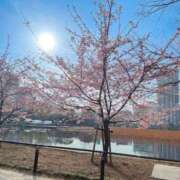 ヒメ日記 2026/03/09 20:31 投稿 今野りん(こんのりん) 鶯谷ナンバーワン