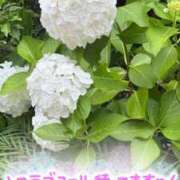 ヒメ日記 2026/06/15 20:54 投稿 今野りん(こんのりん) 鶯谷ナンバーワン