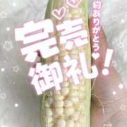 ヒメ日記 2026/06/17 23:54 投稿 今野りん(こんのりん) 鶯谷ナンバーワン