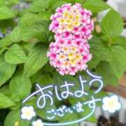 ヒメ日記 2026/07/13 07:14 投稿 今野りん(こんのりん) 鶯谷ナンバーワン