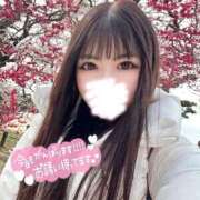 ヒメ日記 2026/03/17 12:01 投稿 しずく 水戸女学院PTA