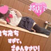 ヒメ日記 2026/04/03 18:00 投稿 しずく 水戸女学院PTA