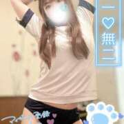 ヒメ日記 2026/05/04 12:02 投稿 しずく 水戸女学院PTA