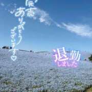 ヒメ日記 2026/05/06 00:34 投稿 しずく 水戸女学院PTA