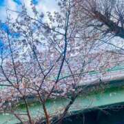 ヒメ日記 2026/03/26 15:10 投稿 みちか ギン妻パラダイス 堺東店