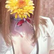 ヒメ日記 2026/04/14 11:48 投稿 橋本　京花 リラクゼーションサロン　le Cocon～ルココン～