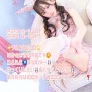 ヒメ日記 2026/02/20 23:53 投稿 メイ MEGA PALACE(メガパレス）