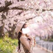 メイ ご予約受付中♡♡ MEGA PALACE(メガパレス）