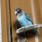 ヒメ日記 2026/02/19 19:16 投稿 片瀬 人妻風俗チャンネル