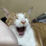 片瀬 いい天気ですね！ 人妻風俗チャンネル